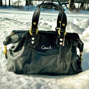 Coach Ashley Python Satchel